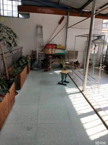 诗意栖居 创合地产煤厂家属区庭院房，文艺创作的灵感港湾